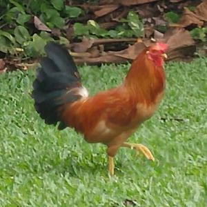 Meet your Posher, Kari